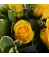The Flower Of Love - Yellow