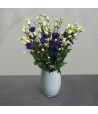 Just Lisianthus - Purple