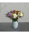 Just Freesia - Mixed