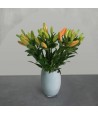 Just Lillies - Orange