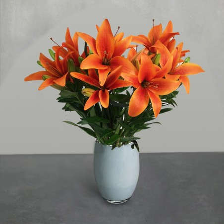 Just Lillies - Orange