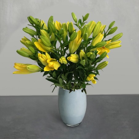 Just Lillies - Yellow