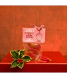 Sweet & Savory Gift Hamper